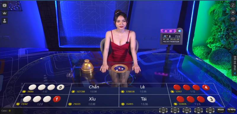 Các cửa cược phổ biến cùng mức trả thưởng hấp dẫn