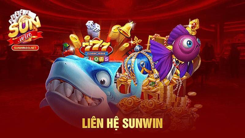 Hỗ trợ khách hàng chuyên nghiệp 24/7